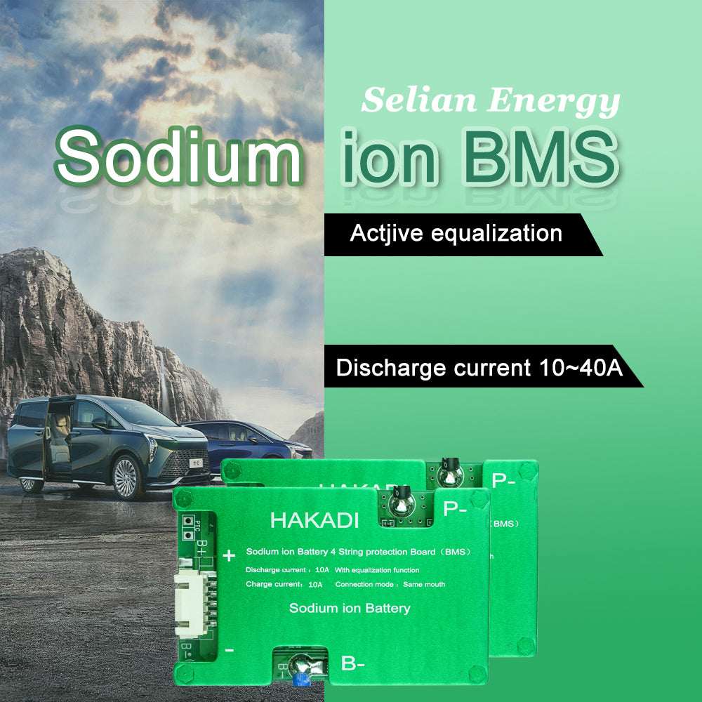 Selian 4S 8S 12S 16S 10A 20A 30A 200A Sodium-ion Battery BMS For DIY Battery Pack