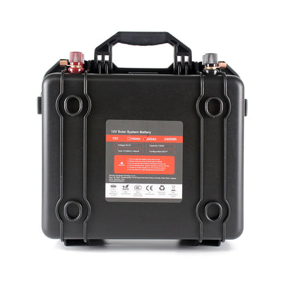 Selian 24V 100Ah Rechargeable Lifepo4 Battery Pack Build-in BMS With 10A Charger RU Stock Fast Delivery