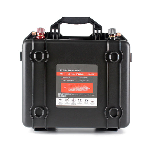 Selian 24V 100Ah Rechargeable Lifepo4 Battery Pack Build-in BMS With 10A Charger RU Stock Fast Delivery