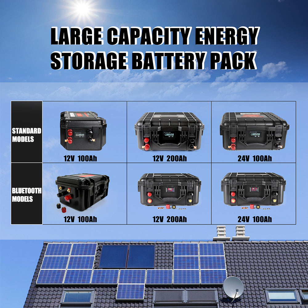 Selian 24V 100Ah Rechargeable Lifepo4 Battery Pack Build-in BMS With 10A Charger RU Stock Fast Delivery