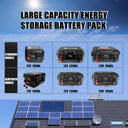 Selian 24V 100Ah Rechargeable Lifepo4 Battery Pack Build-in BMS With 10A Charger RU Stock Fast Delivery